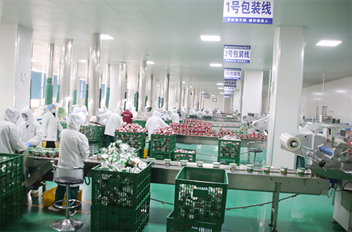 麗星加班加點(diǎn)忙生產(chǎn)，嚴(yán)守產(chǎn)品質(zhì)量