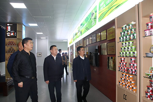 國(guó)家、省、市鄉(xiāng)村振興局等**一行蒞臨麗星公司進(jìn)行調(diào)研工作