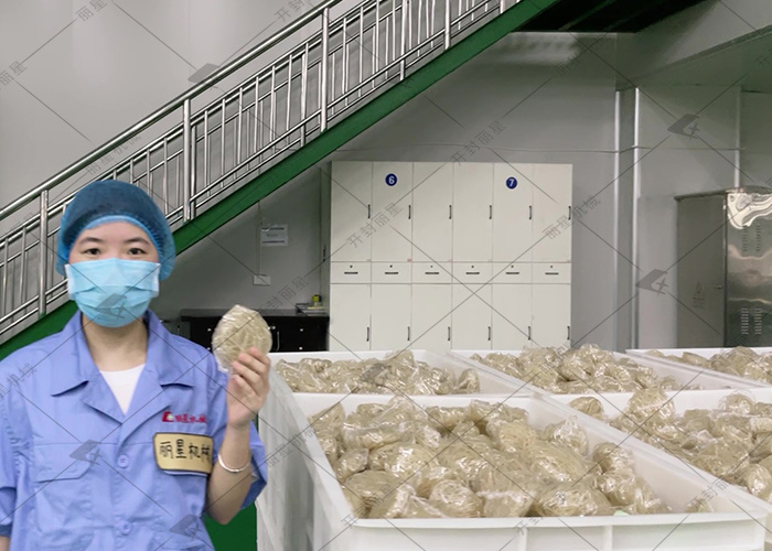 從原料到口感，讀懂方便粉絲與方便面的差異